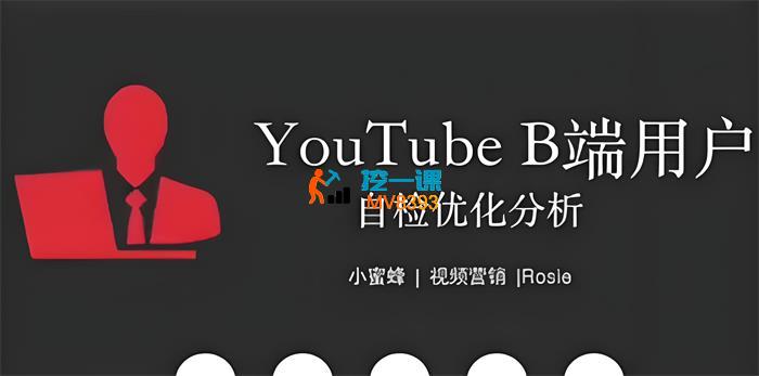 小蜜蜂《独立站结合油管引流》