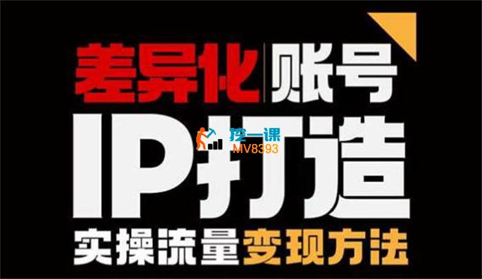 小呆《差异化个人IP打造实操课程》