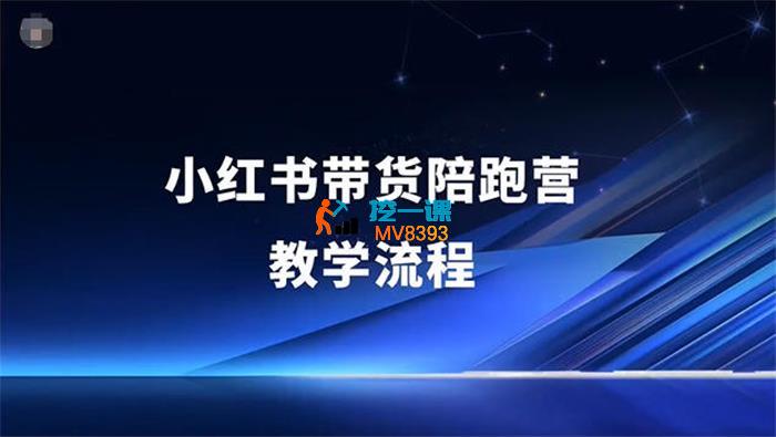 盗坤《小红书带货陪跑营》