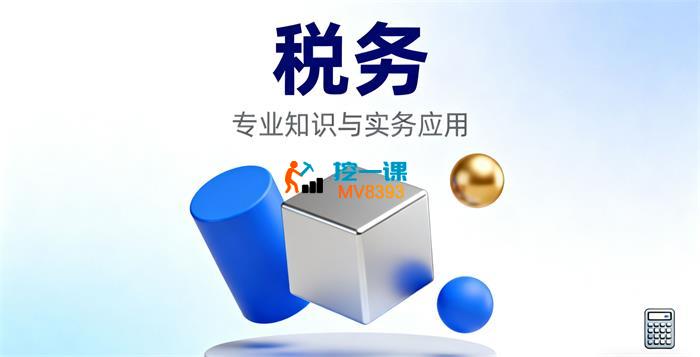 师爷《老板必懂的税务实操逻辑》