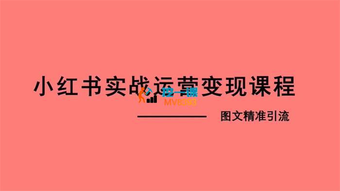 程哥《小红书图文精准引流》