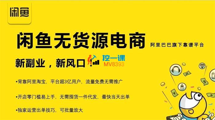 前程《闲鱼无货源电商》