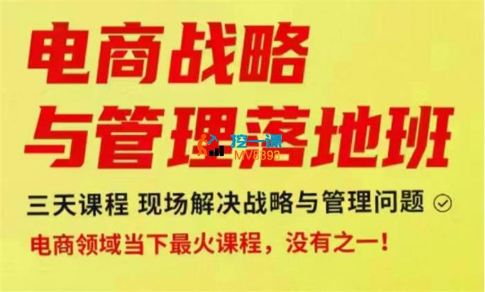 蒋晖《电商战略与管理落地班线下大课》