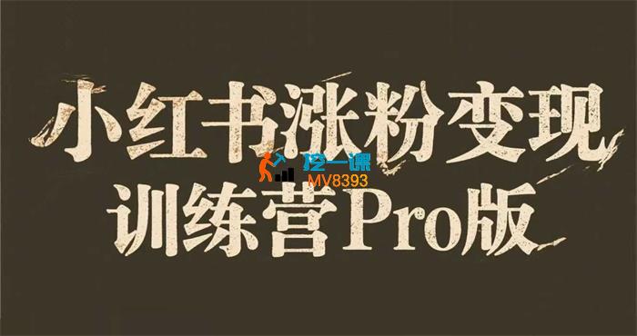 艾敏《小红书涨粉变现训练营Pro版》