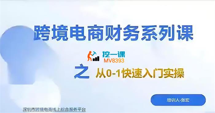 宏姐《跨境电商财务系列课之从0-1快速入门实操》