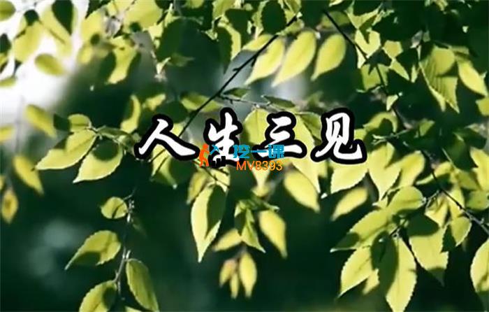 子非鱼《人生三见》