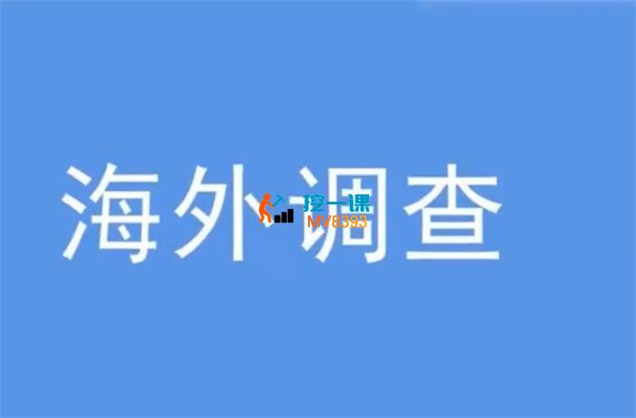 洛白《海外调查项目》