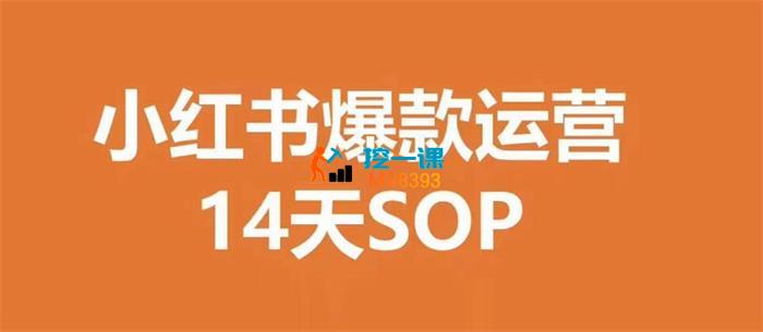七七《小红书爆款运营14天SOP》