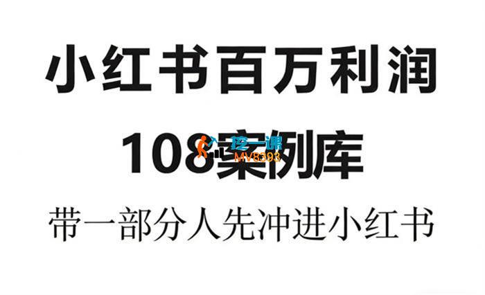 爱野佩佩《小红书百万利润108案例库》