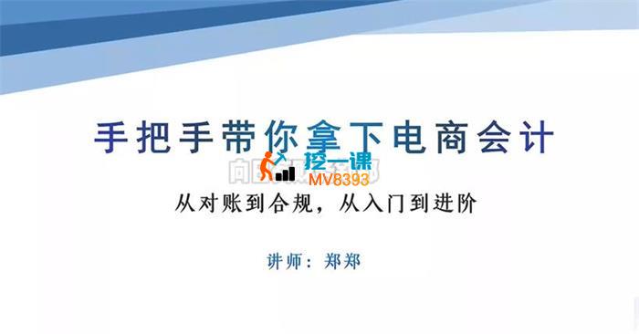 郑郑《手把手带你拿下电商会计》