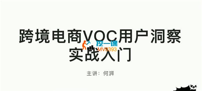 何湃《跨境电商VOC用户洞察实战入门》