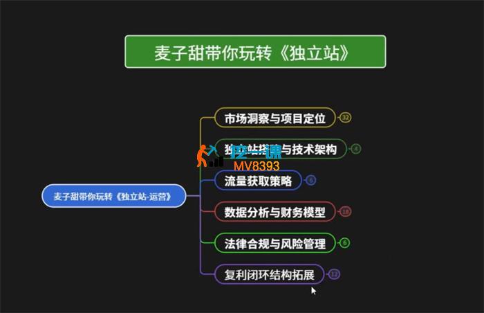 麦子甜《带你玩转独立站运营》