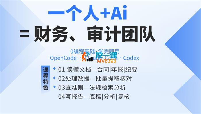 狗哥《AI Agent实战落地课：一人+AI=专业财务、审计团队》